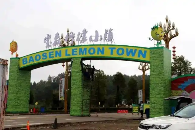 本次大会期间,将在中国(宝森)柠檬小镇,安岳普州文化广场,集中开展"