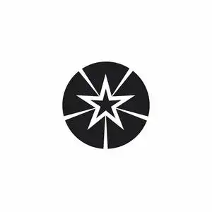 黑白星图标矢量圆形.