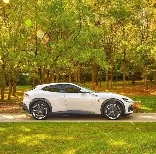 法拉利首款超跑suvpurosangue