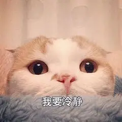 萌宠喵星人我要冷静淡定呆萌可爱gif动图_动态图_表情包下载_soogif