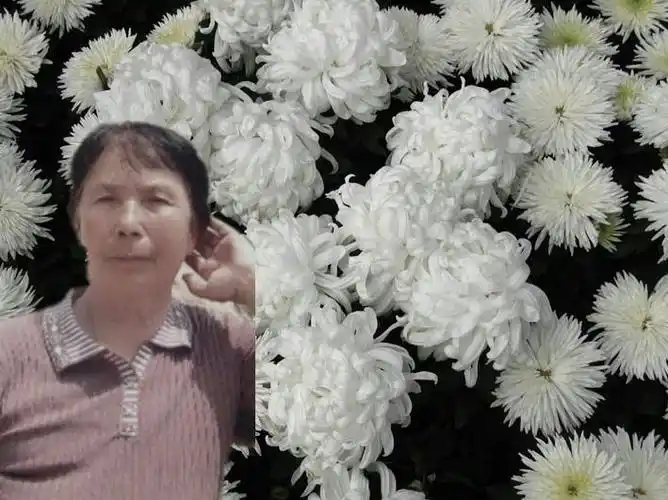 怀念母亲去世三周年祭奠