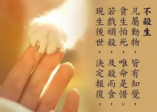 了知不杀生的无尽功德,以及杀生的十种恶报-佛教导航