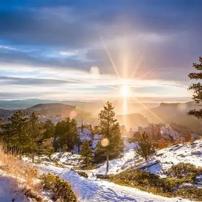 个性高清风景头像 阳光下的森林景色图片