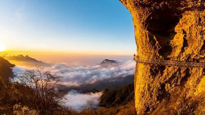 金佛山景区官网