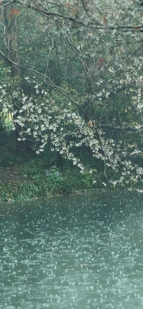 下雨天图片伤感雨的图片唯美清新雨天手机壁纸好看馆