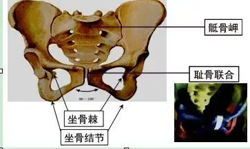 2019年妇产科主治医师考试专业知识考点产前保健之孕妇监护和管理