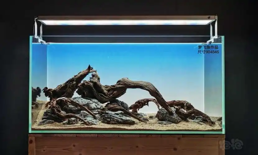 沉木青龙石草缸造景