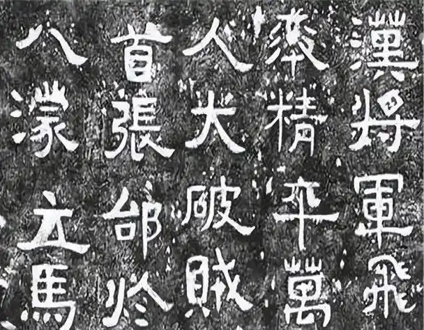 张飞墓出土后尸骨(1985年四川挖出张飞墓)(8)