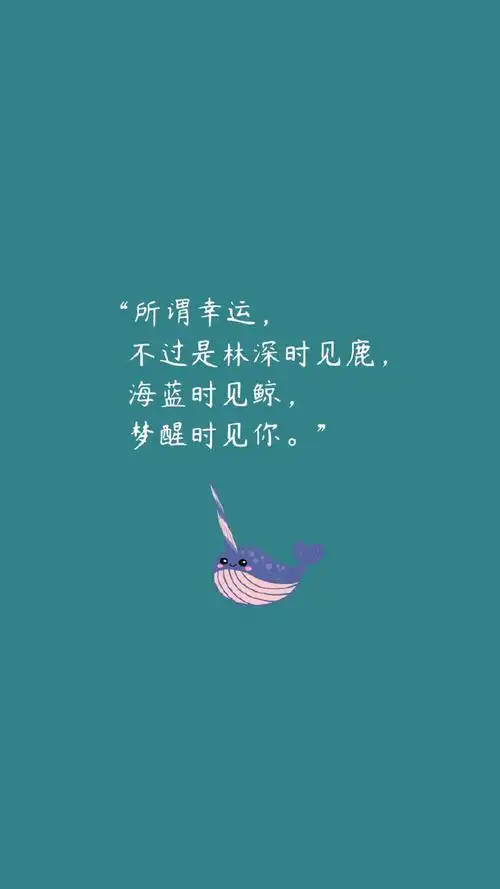 个性搞笑文字创意图片手机壁纸