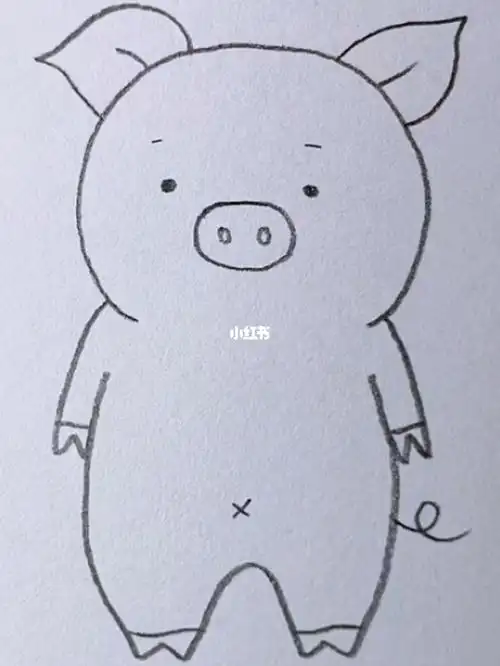 画一只可爱的小胖猪