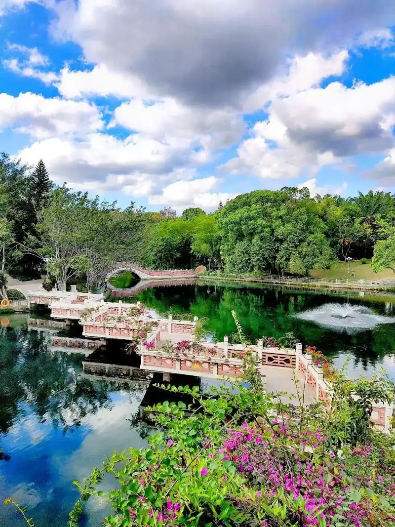 龙潭公园位于深圳龙岗区,园内种植榕树,刺桐,凤凰木,大王椰等 - 抖音