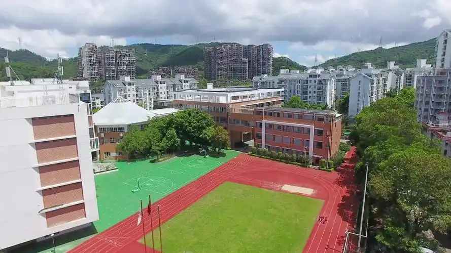 第八次代表大会来临之际,深圳市龙华区丹堤实验学校推出了名为《你好