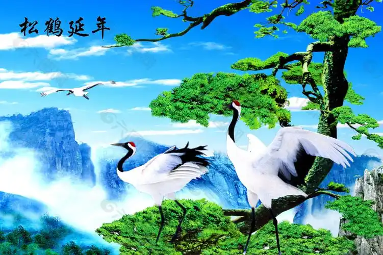 风景松树仙鹤