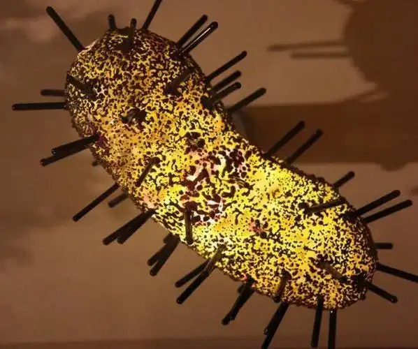 鼠疫爆发的源头在哪里?其又是如何扩散的?