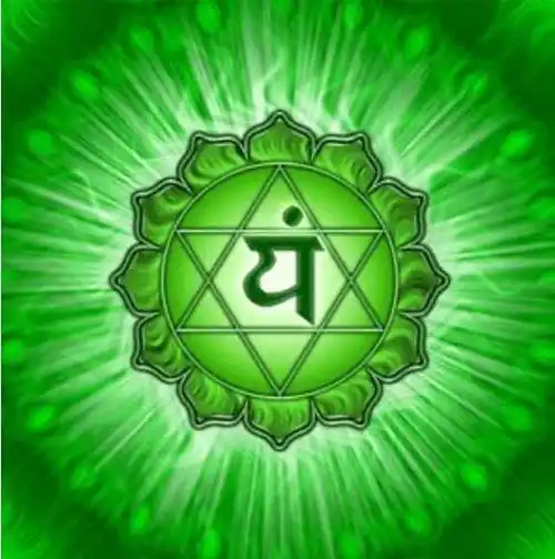 七轮能量瑜伽(喜悦曼陀罗)公益课-在线订票-互动吧