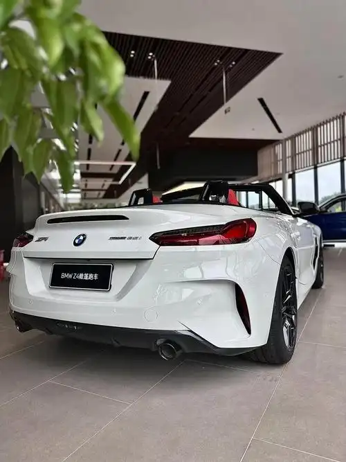 跑车|所到之处皆为焦点|||- 犀利外观设计营造精悍姿态, _宝马z4社区