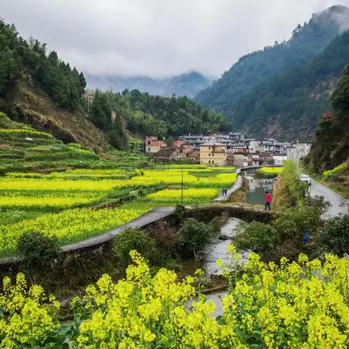 "大溪边的春天"摄影比赛暨采风活动获奖作品