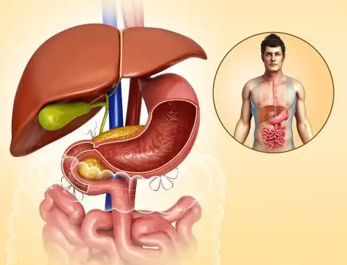 人的肝脏在什么部位,能画个图吗?