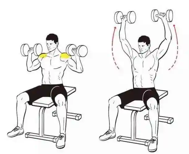 这个动作不仅可以锻炼到三角肌前束,也可以练到上背部.