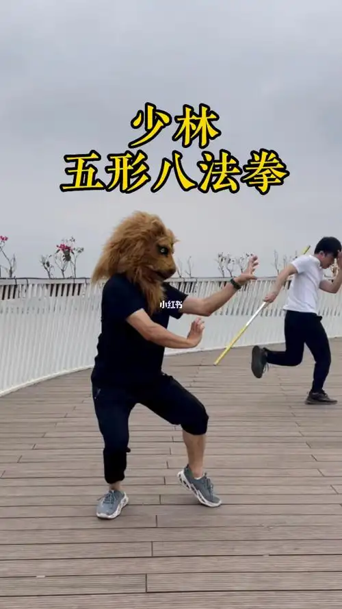 少林五形八法拳