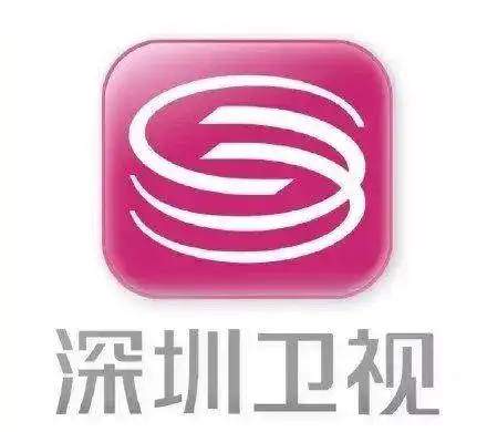 告别土味时代深圳卫视推出2019新形象