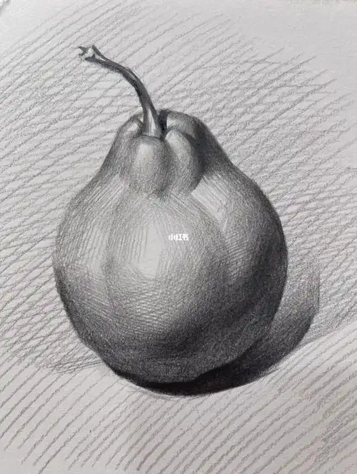 素描梨单体铅笔
