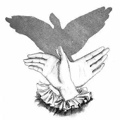 有趣的手影-顾大局·快乐梓泷-天地在我心-校讯通博客