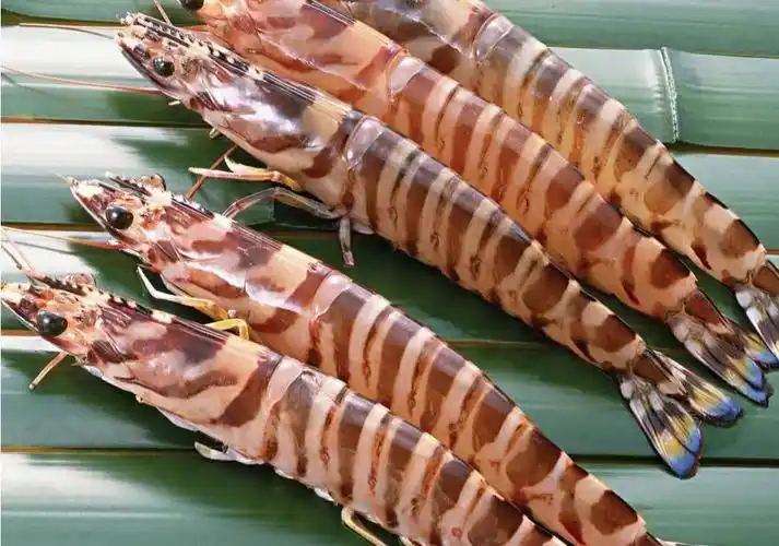 12种海虾"简单易记"的区分方法,你都吃过几种?附吃法,请收藏