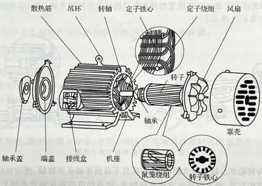 三相鼠笼型异步电动机构成示意图