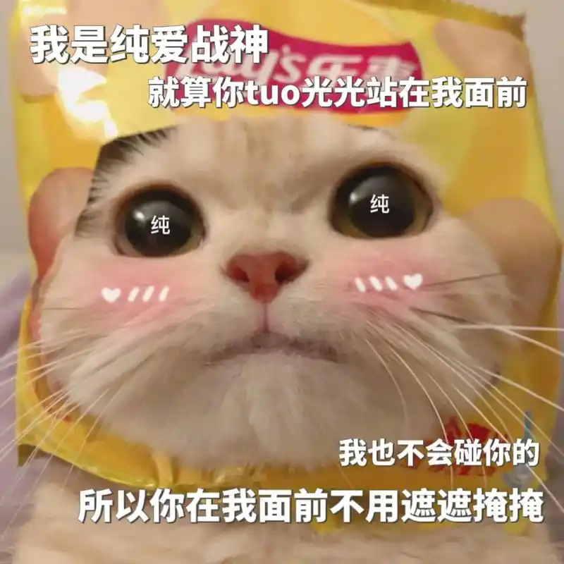 宝,天气这么热,你能发几张,凉快的照片吗?#猫咪表情包 #表 - 抖音