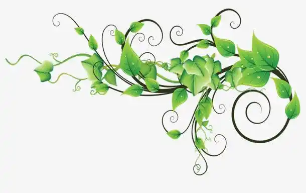 关键词 : 装饰图案,卡通手绘,绿色花藤,平面装饰