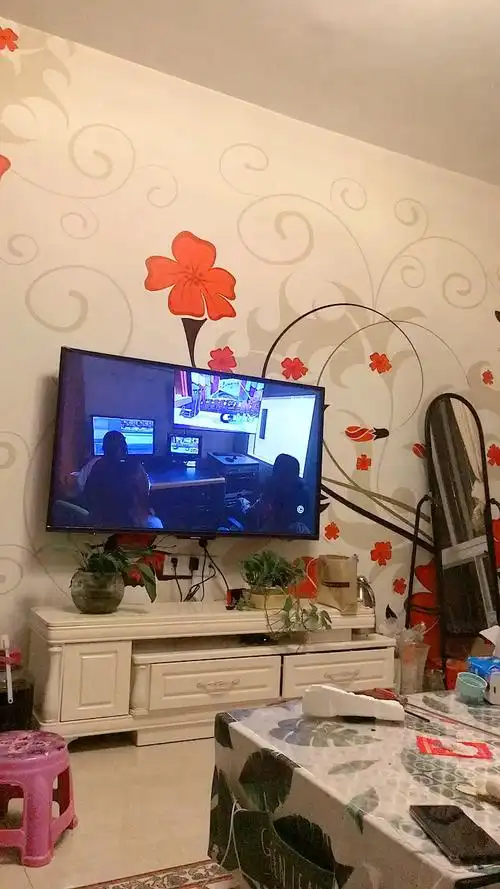 史上最热夏天#热的只有在家看电视