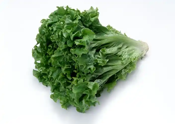 高清晰新鲜的绿色生菜壁纸