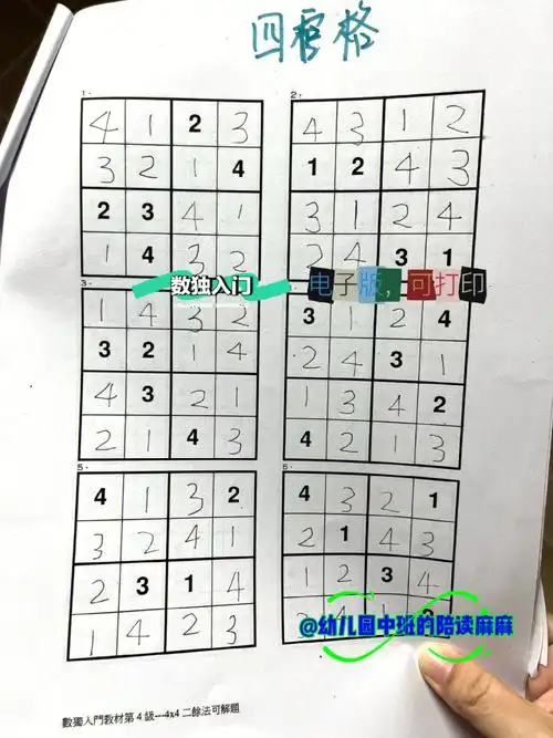 幼小衔接亲子游戏数独入门九宫格