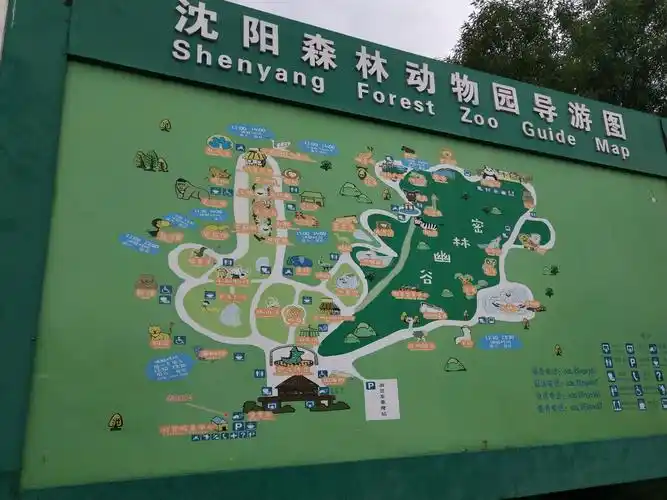 沈阳森林动物园一日行2018.06.10