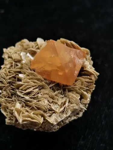 四川雪宝顶产白钨,云母共生标本.