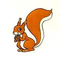 松鼠的尾巴好像一把伞. 谁的尾巴弯? 谁的尾巴扁? 谁的尾巴最好看?