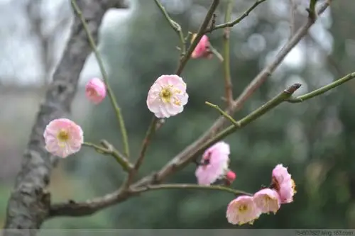 别角晚水. - 深涧幽草 - 764507627 的博客