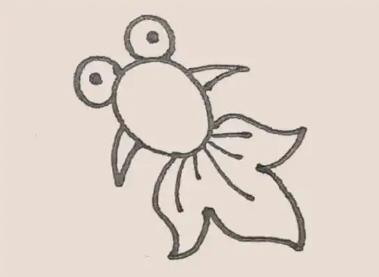 金鱼简笔画的画法步骤图解教程