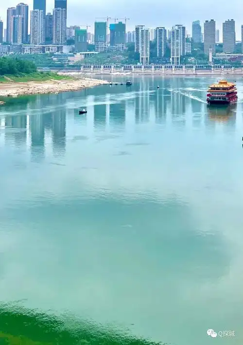 探爷私藏重庆南岸一江畔处人少还免费花多空气好|江边|广阳岛|嘉陵江