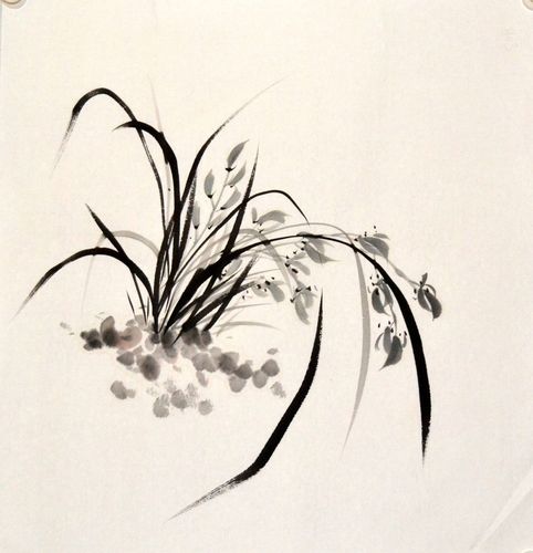 国画花鸟客厅三尺斗方兰花水墨手绘原稿无款国画