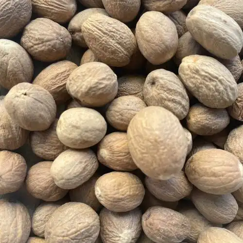 肉豆蔻 肉蔻白蔻 肉扣 玉果香料散货批发 炖肉卤煮火锅调料香辛料