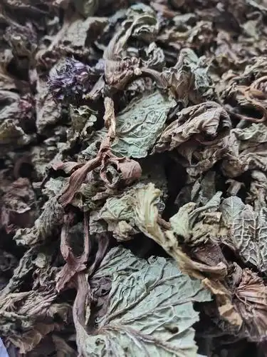 供应中药材独一味