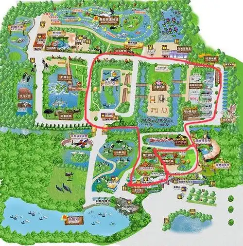 秋游——长隆飞鸟乐园