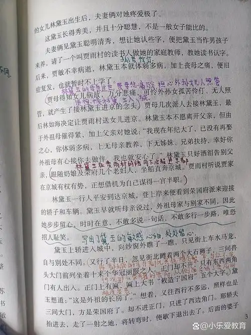红楼梦第一回批注@小乐爱教育的动态