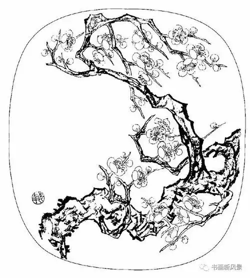 每天教你学画画梅花白描画谱老树虬枝苍劲高洁