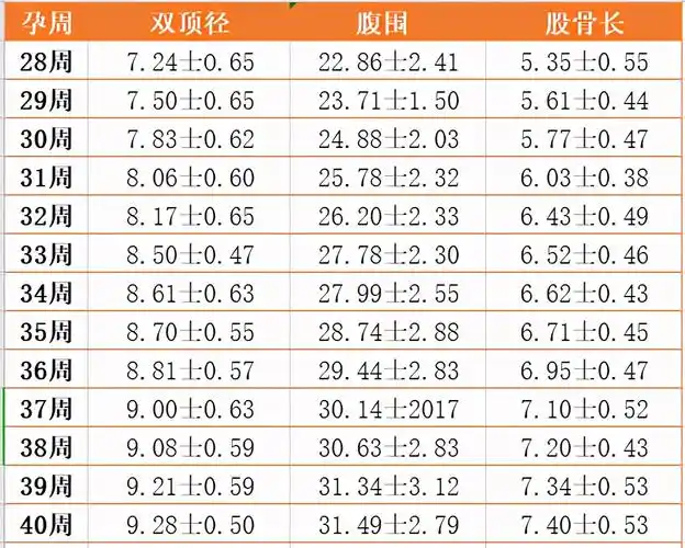 双顶径看男女:头小腿长是女孩,头大腿短是男孩?