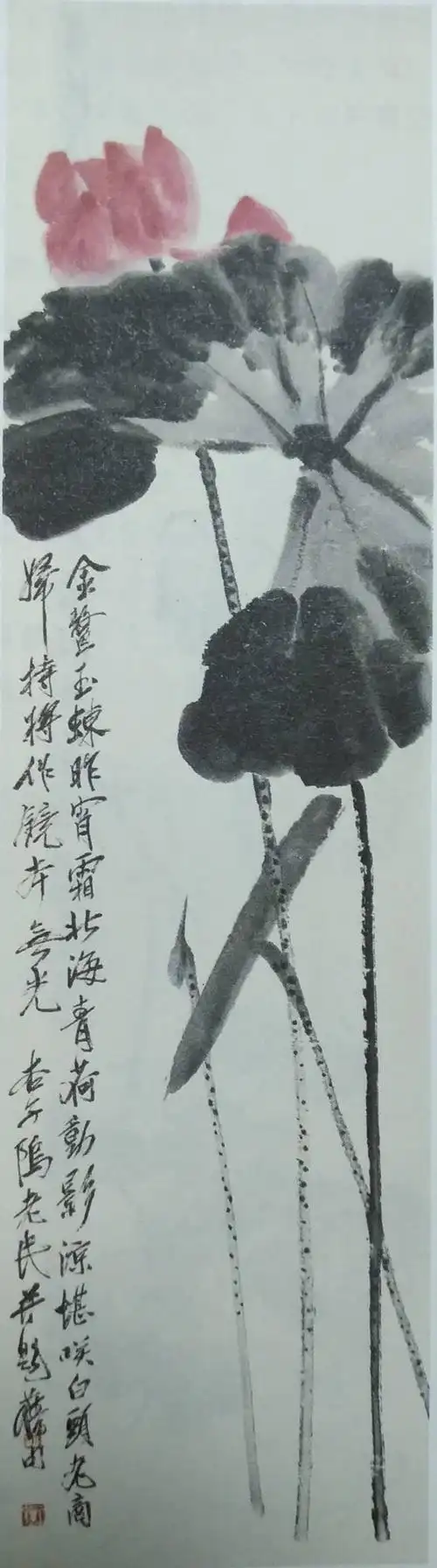 衰年变法成就了一代大师—白石老人