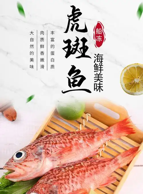 水产冷冻批发鱼肉海捕石斑鱼深海鱼 【新品虎头班】五斤【图片 价格