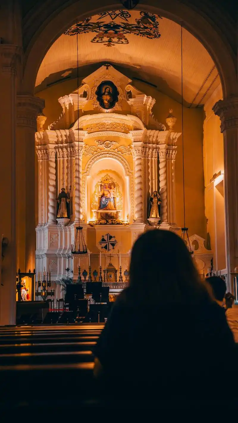 与光同尘|9890澳门玫瑰圣母堂#澳门 #教堂玻璃彩色花窗 - 抖音